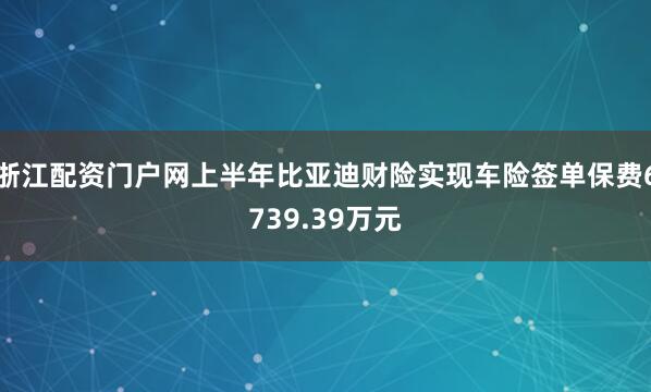 浙江配资门户网上半年比亚迪财险实现车险签单保费6739.39万元