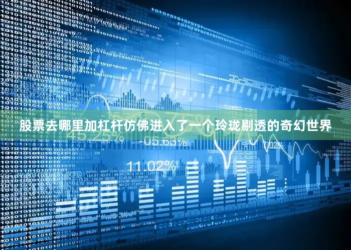 股票去哪里加杠杆仿佛进入了一个玲珑剔透的奇幻世界