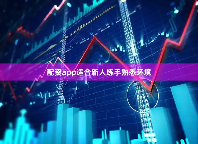 配资app适合新人练手熟悉环境